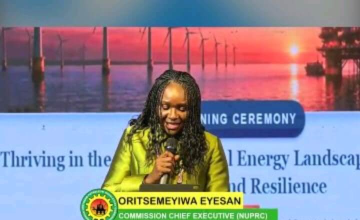 Nigeria&rsquo;s 22 Offshore Projects to Attract over $30bn Investment Deals